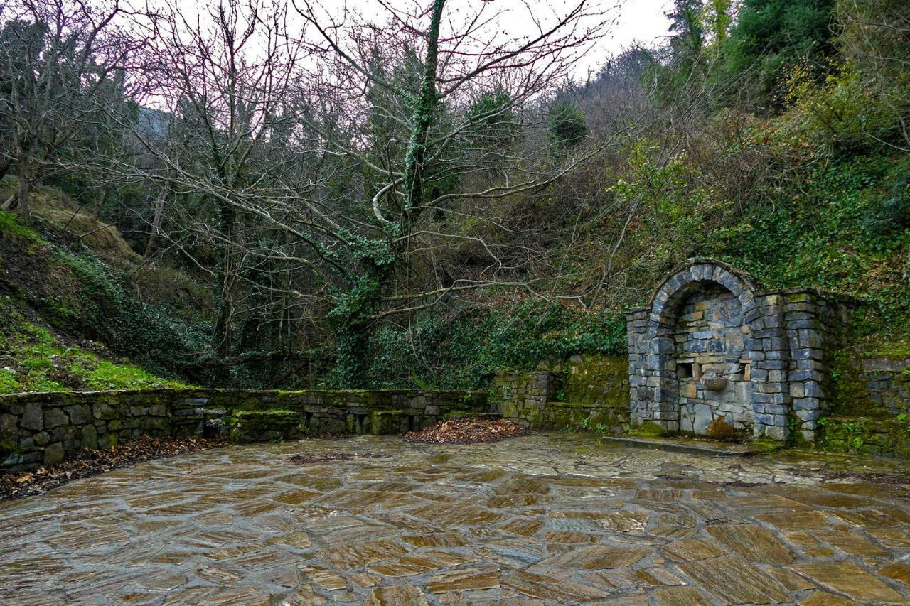 Antoniou Guesthouse Kastanitsa Bagian luar foto